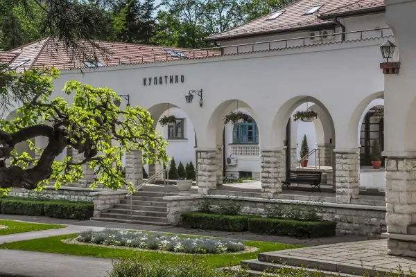 Prevoz pacijenata do banje Bukovička Banja: posebne usluge